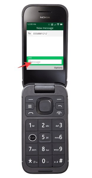 Nokia 2760 Flip Phone Typing Messages